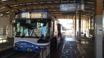 大曽根駅から小幡緑地駅の乗車記録(乗りつぶし)写真