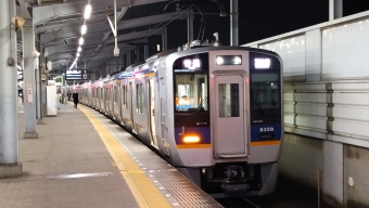 難波駅から堺駅:鉄道乗車記録の写真