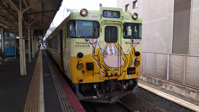 鉄道乗車記録の写真:乗車した列車(外観)(1)          「先頭はねずみ男列車」