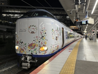 新大阪駅から天王寺駅:鉄道乗車記録の写真