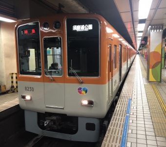 大阪梅田駅から神戸三宮駅の乗車記録(乗りつぶし)写真