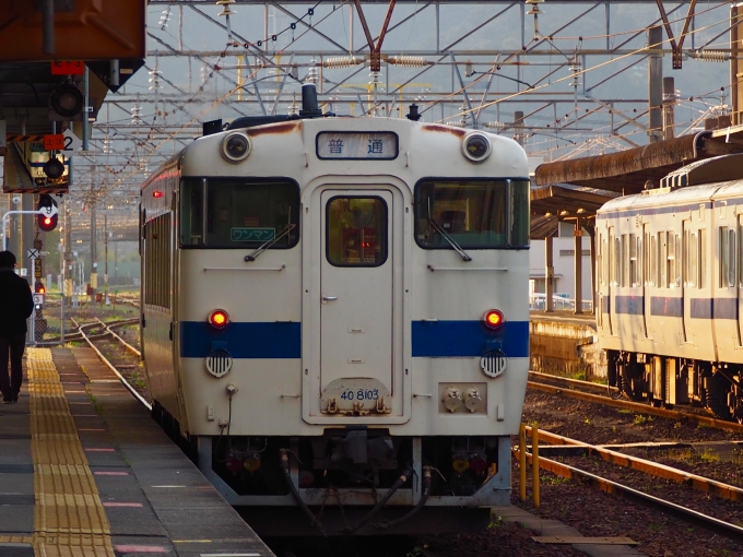 鉄道乗車記録の写真:乗車した列車(外観)(1)          「朝日に照らされるキハ40。」