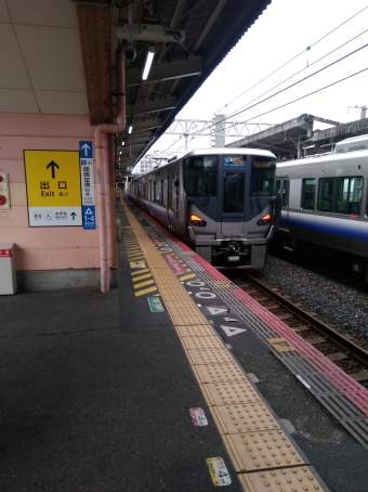 東羽衣駅から日根野駅の乗車記録(乗りつぶし)写真