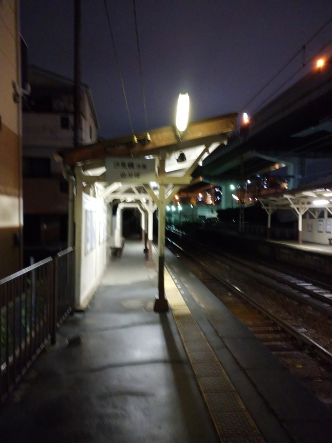 鉄道乗車記録の写真:駅舎・駅施設、様子(9)        「汐見橋方面は構内踏切を渡ります。」