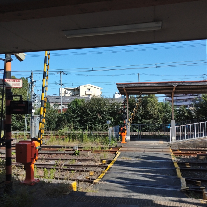 鉄道乗車記録の写真:駅舎・駅施設、様子(14)     「構内踏切」