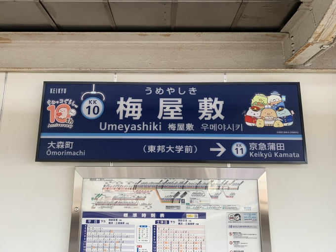 鉄道乗車記録の写真:駅名看板(2)        「すみっコぐらしver.」