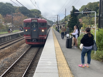 信濃追分駅から中軽井沢駅の乗車記録(乗りつぶし)写真