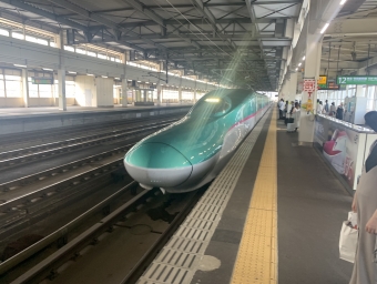 一ノ関駅から東京駅の乗車記録(乗りつぶし)写真