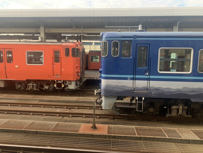 鉄道乗車記録の写真:列車・車両の様子(未乗車)(4)        「キハ40系列。」