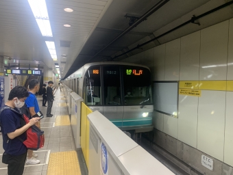 戸塚安行駅から南鳩ヶ谷駅の乗車記録(乗りつぶし)写真