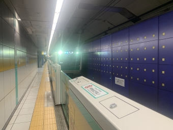 天王洲アイル駅から大崎駅の乗車記録(乗りつぶし)写真