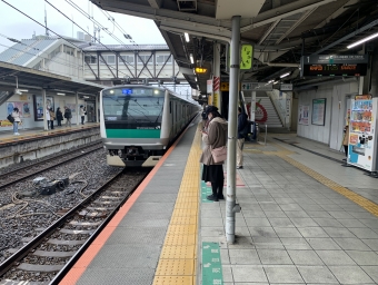 十条駅から武蔵浦和駅の乗車記録(乗りつぶし)写真