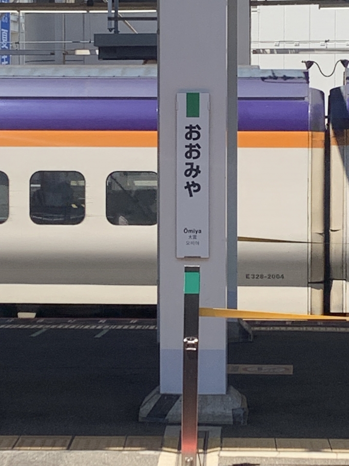 鉄道乗車記録の写真:駅名看板(4)        