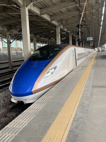 新潟駅から浦佐駅の乗車記録(乗りつぶし)写真