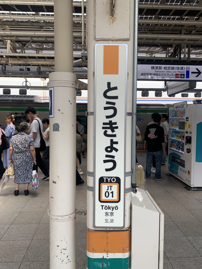 鉄道乗車記録の写真:駅名看板(7)        