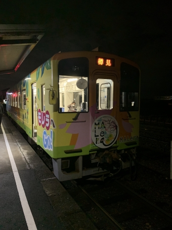 モレラ岐阜駅から本巣駅の乗車記録(乗りつぶし)写真