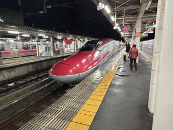 E6系新幹線 Z16編成 (秋田総合車両センター 南秋田センター/秋田新幹線