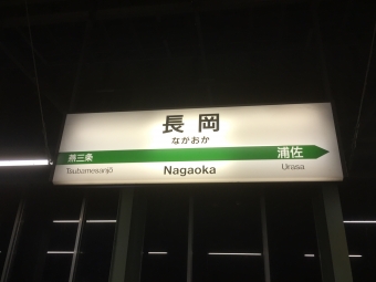 長岡駅から東京駅:鉄道乗車記録の写真
