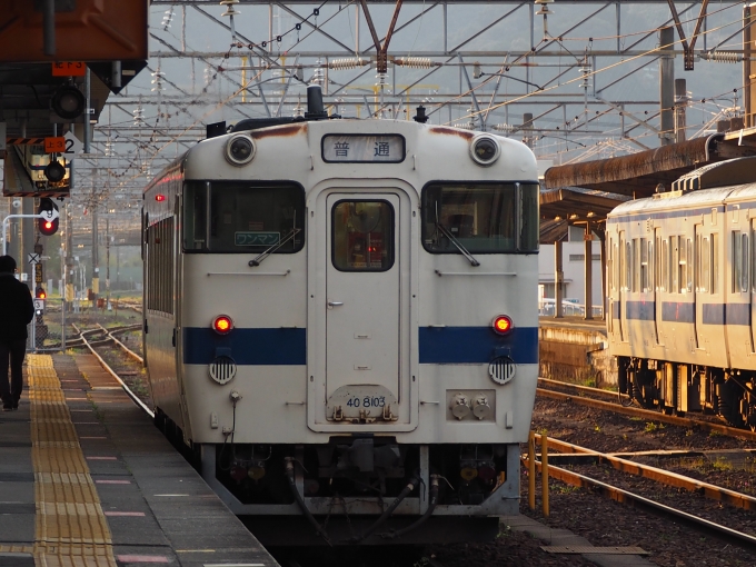 鉄道乗車記録の写真:乗車した列車(外観)(1)     「朝日に照らされるキハ40．」