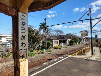 保々駅から丹生川駅の乗車記録(乗りつぶし)写真
