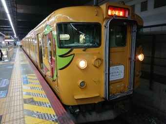 岡山駅から庭瀬駅:鉄道乗車記録の写真