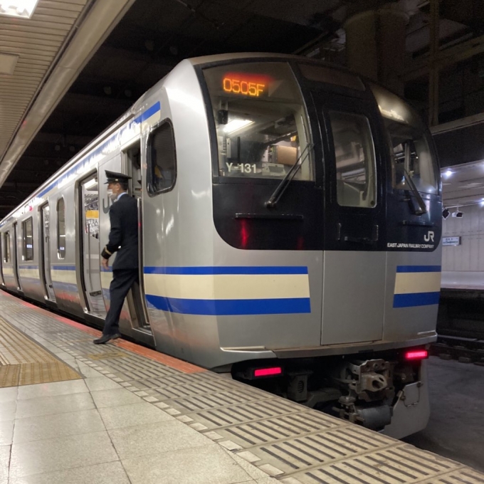 鉄道乗車記録の写真:乗車した列車(外観)(3)        「E217系横クラY-29編成＋横クラY-131編成。東京駅地下総武線3番線。」