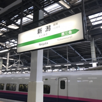新潟駅から東京駅:鉄道乗車記録の写真