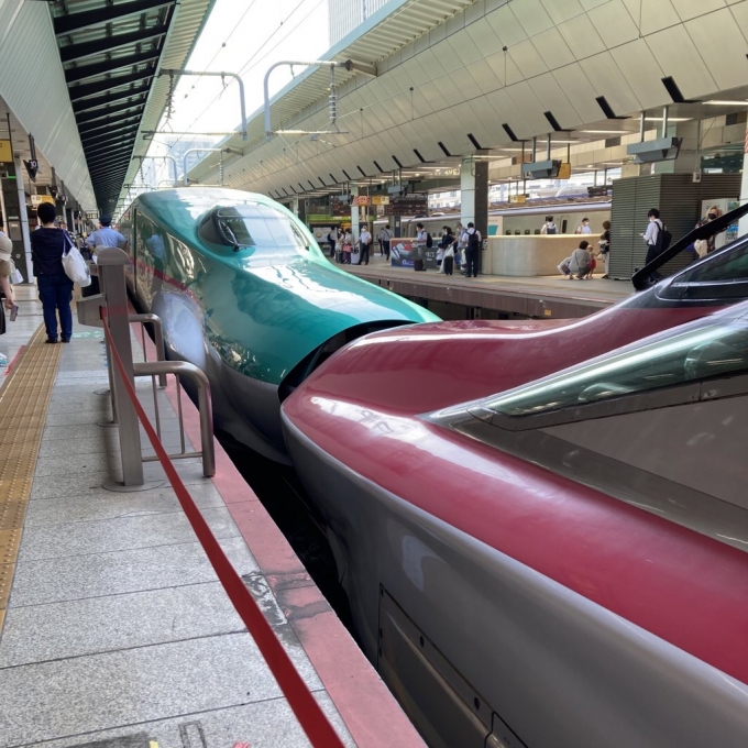 鉄道乗車記録の写真:乗車した列車(外観)(3)        「E5系仙セシU10編成＋E6系秋アキZ13編成。東京駅23番線。」