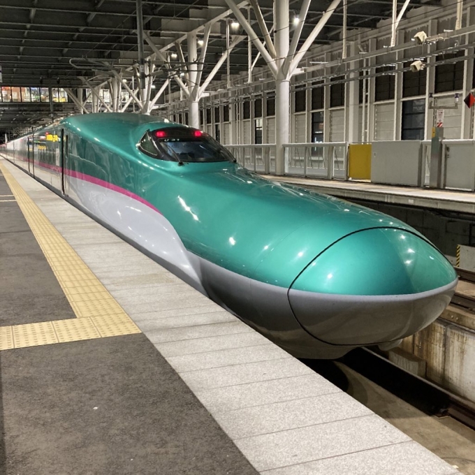 鉄道乗車記録の写真:乗車した列車(外観)(3)        「E5系仙セシU31編成。新函館北斗駅11番線。」