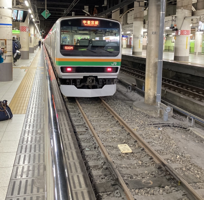 鉄道乗車記録の写真:乗車した列車(外観)(3)        「E231系横コツS-03編成＋E231系横コツK-25編成。上野駅15番線。」