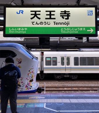 天王寺駅から奈良駅:鉄道乗車記録の写真