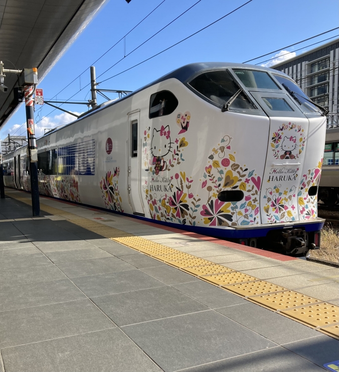 鉄道乗車記録の写真:乗車した列車(外観)(3)        「281系近ヒネHA603編成。京都駅30番のりば。」