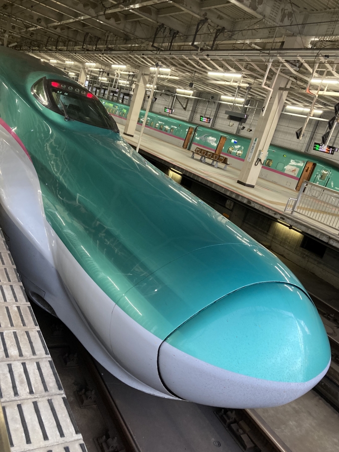 鉄道乗車記録の写真:乗車した列車(外観)(3)        「E5系仙セシU5編成。仙台駅12番線。」