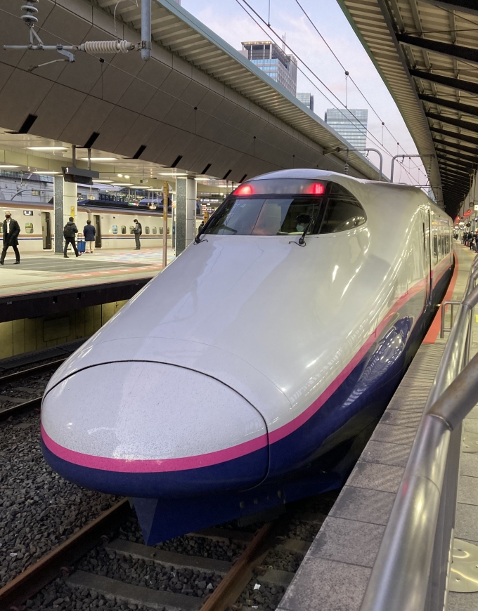 鉄道乗車記録の写真:乗車した列車(外観)(3)        「E2系新ニシJ74編成。東京駅22番線。」