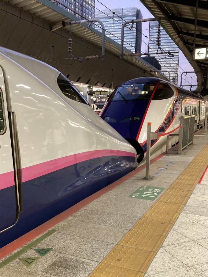 鉄道乗車記録の写真:列車・車両の様子(未乗車)(4)        「福島まで山形新幹線下り149Mつばさ149号山形行E3系仙カタL71編成を併結。東京駅22番線。」