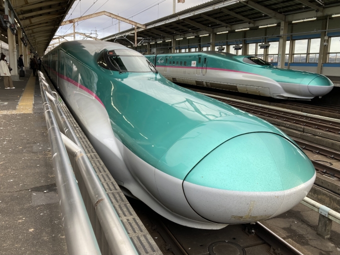 鉄道乗車記録の写真:乗車した列車(外観)(3)        「E5系仙セシU8編成。郡山駅12番線。」