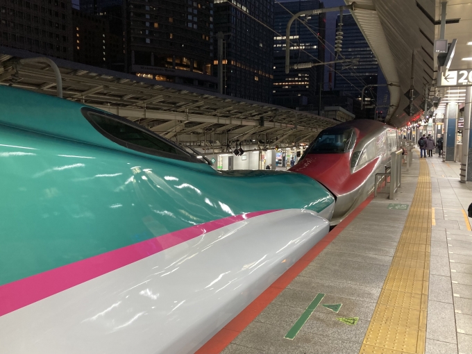 鉄道乗車記録の写真:列車・車両の様子(未乗車)(4)        「盛岡まで3001Mこまち1号E6系秋アキZ24編成7両を併結。東京駅20番線。」