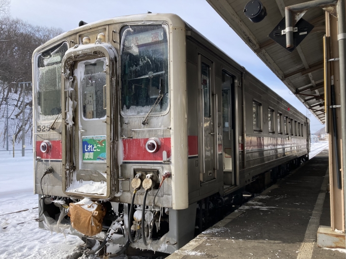 鉄道乗車記録の写真:乗車した列車(外観)(3)        「釧クシ キハ54 525。網走駅3番線。」