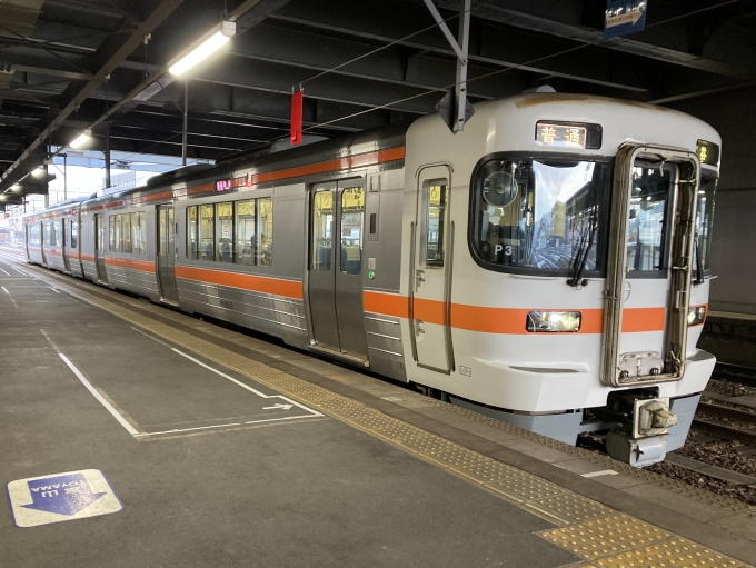 鉄道乗車記録の写真:乗車した列車(外観)(4)        「キハ25系海ミオP3編成。高山駅1番線。」