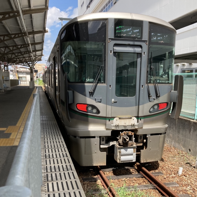 鉄道乗車記録の写真:乗車した列車(外観)(3)        「227系近ヒネSR01編成。和歌山市駅2番のりば。」
