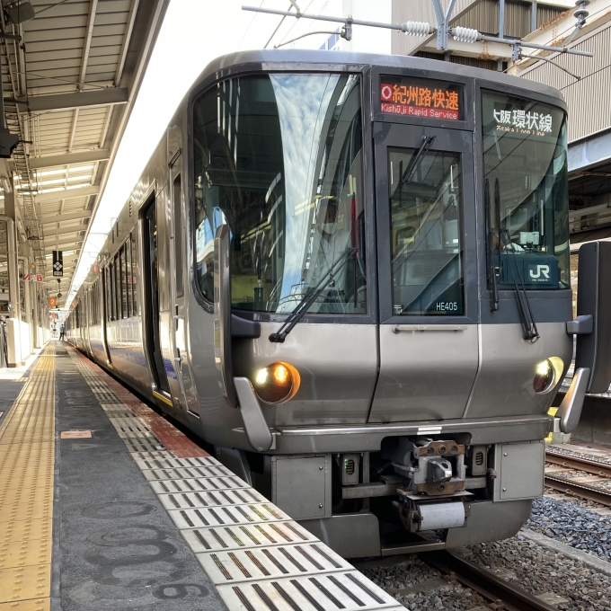 鉄道乗車記録の写真:乗車した列車(外観)(3)        「223系近ヒネHE405編成。和歌山駅2番のりば。」