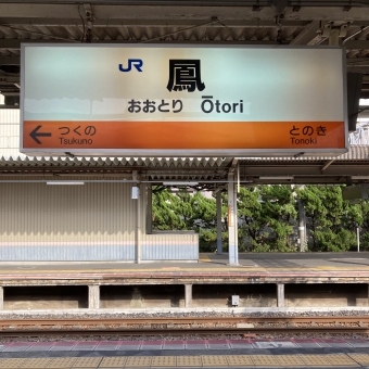 鳳駅から新今宮駅の乗車記録(乗りつぶし)写真