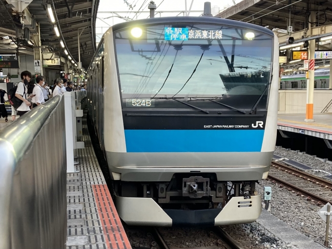 鉄道乗車記録の写真:乗車した列車(外観)(3)        「E233系宮サイ173編成。横浜駅4番線。」