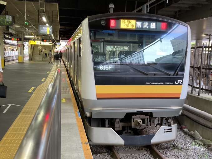 鉄道乗車記録の写真:乗車した列車(外観)(3)        「E233系横ナハN22編成。川崎駅6番線。」