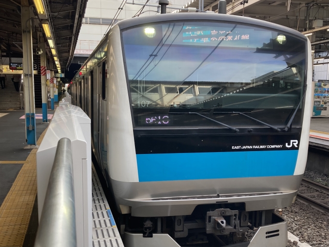 鉄道乗車記録の写真:乗車した列車(外観)(3)        「E233系宮サイ107編成。川崎駅3番線。」