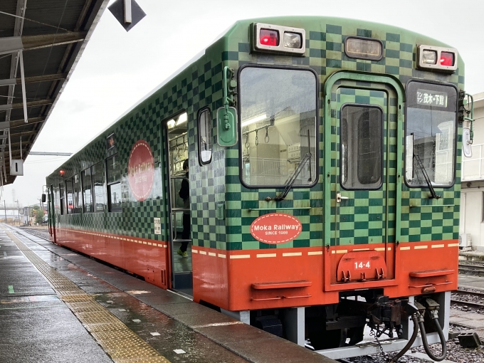 鉄道乗車記録の写真:乗車した列車(外観)(3)        「モオカ14-4。下館駅1番線。」