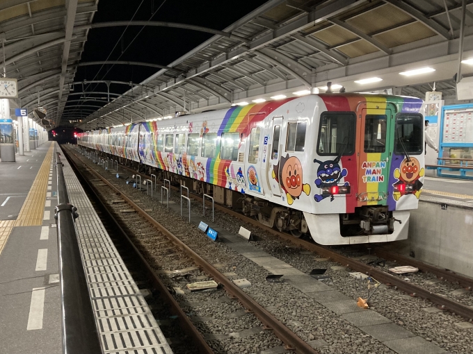 鉄道乗車記録の写真:乗車した列車(外観)(4)        「8000系四マツL3編成。高松駅6番のりば。」