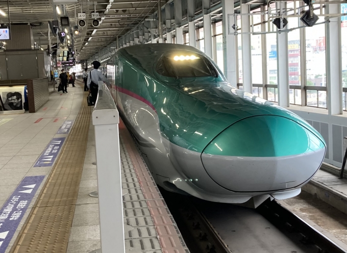 鉄道乗車記録の写真:乗車した列車(外観)(3)        「E5系仙セシU14編成10両。仙台駅11番線。」