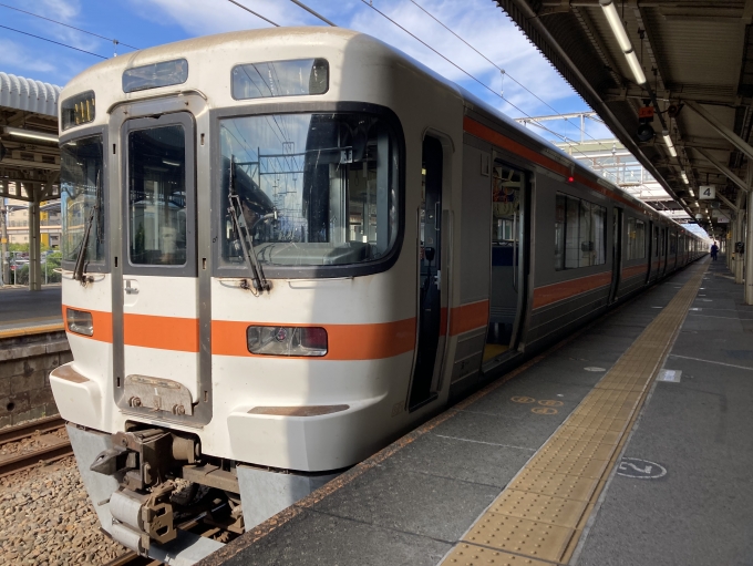 鉄道乗車記録の写真:乗車した列車(外観)(3)        「313系海カキY101編成+Z1編成。大垣駅4番線。」