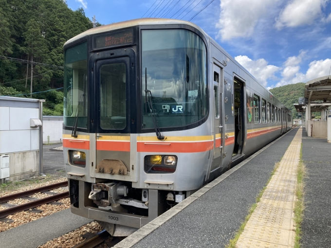鉄道乗車記録の写真:乗車した列車(外観)(3)        「キハ127系近ヒメ3編成。佐用駅1番のりば。」